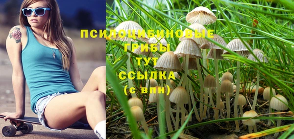 кокаин Белокуриха